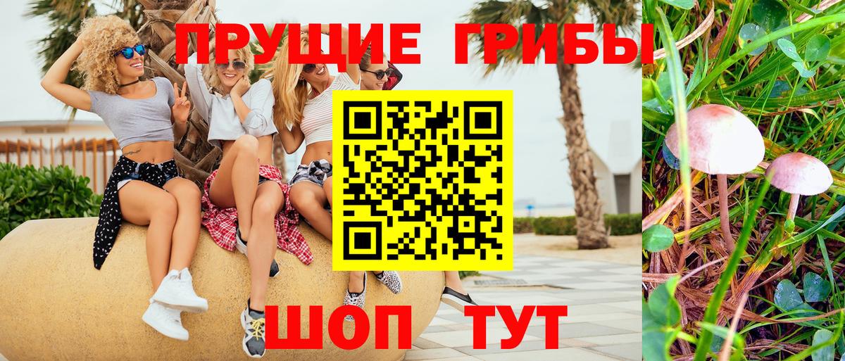 Серпухов  Псилоцибиновые грибы Psilocybe  Вход с VPN 